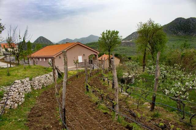 Гостевой дом Guesthouse Djukanovic Вирпазар-14